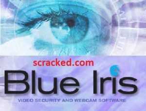 blue iris cracked download